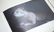 โหลดรูปภาพลงในเครื่องมือใช้ดูของ Gallery Other Mementos 幸本紗奈
 ร้านหนังสือและสิ่งของ เป็นร้านหนังสือภาษาอังกฤษหายาก และร้านกาแฟ หรือ บุ๊คคาเฟ่ ตั้งอยู่สุขุมวิท กรุงเทพ