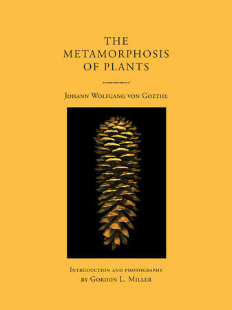 The Metamorphosis of Plants ร้านหนังสือและสิ่งของ เป็นร้านหนังสือภาษาอังกฤษหายาก และร้านกาแฟ หรือ บุ๊คคาเฟ่ ตั้งอยู่สุขุมวิท กรุงเทพ