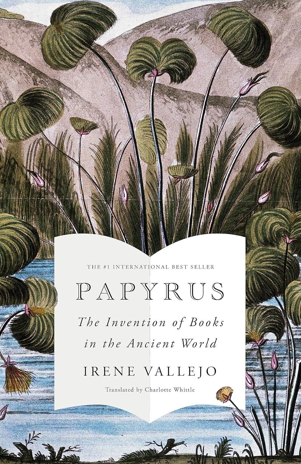Papyrus: The Invention of Books in the Ancient World ร้านหนังสือและสิ่งของ เป็นร้านหนังสือภาษาอังกฤษหายาก และร้านกาแฟ หรือ บุ๊คคาเฟ่ ตั้งอยู่สุขุมวิท กรุงเทพ