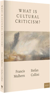 What Is Cultural Criticism?