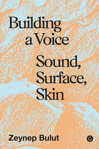 Building a Voice: Sound, Surface, Skin (Hardback)
