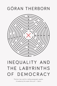 Inequality and the Labyrinths of Democracy